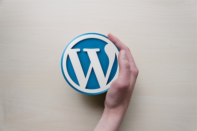 Reasons Why WordPress is the Best CMS